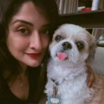 Vimala Raman Instagram – Some puppy love 🐶😍
.
.
.
#dogs #dogsofinstagram #pattu #puppy #puppylove #animal #lover #doglover #face #happiness #animallover #instagood #dog #doglove #candid #love #actor #vimalaraman #vr