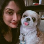 Vimala Raman Instagram - Some puppy love 🐶😍 . . . #dogs #dogsofinstagram #pattu #puppy #puppylove #animal #lover #doglover #face #happiness #animallover #instagood #dog #doglove #candid #love #actor #vimalaraman #vr
