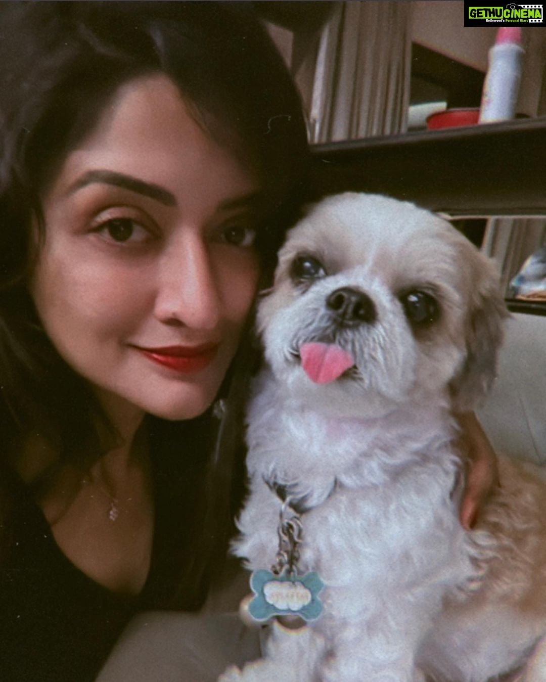 Vimala Raman Instagram - Some puppy love πΆπ . . . #dogs #dogsofinstagram #pattu #puppy #puppylove #animal #lover #doglover #face #happiness #animallover #instagood #dog #doglove #candid #love #actor #vimalaraman #vr