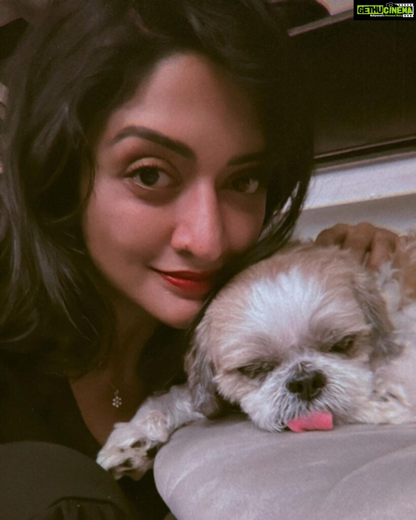 Vimala Raman Instagram - Some puppy love 🐶😍 . . . #dogs #dogsofinstagram #pattu #puppy #puppylove #animal #lover #doglover #face #happiness #animallover #instagood #dog #doglove #candid #love #actor #vimalaraman #vr