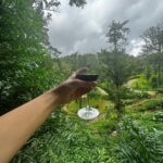 Yogita Bihani Instagram - took a longgg break after I don’t know how long! Nature helps, Nature heals. 🌴🦆🌧️☀️♥️ @ayatana.resorts best best best! 🫶🏻 #august #coorg #nature Ayatana Coorg