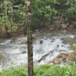 Yogita Bihani Instagram - took a longgg break after I don’t know how long! Nature helps, Nature heals. 🌴🦆🌧️☀️♥️ @ayatana.resorts best best best! 🫶🏻 #august #coorg #nature Ayatana Coorg