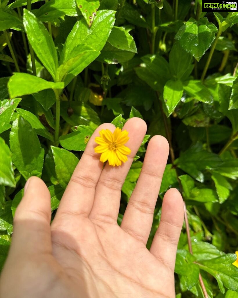 Yogita Bihani Instagram - took a longgg break after I don’t know how long! Nature helps, Nature heals. 🌴🦆🌧☀♥ @ayatana.resorts best best best! 🫶🏻 #august #coorg #nature Ayatana Coorg