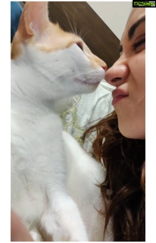 Aanchal Munjal Instagram - Some unspoken bonds make the best memories ❤️ Happy Holi everyone.. Hope you enjoyed your time with your loved ones 🤗🤗🤗 My loudest heartbeat 'april' 🐱#mybaby #catsofinstagram #animallover #innocent #pure #love Mumbai, Maharashtra