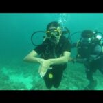 Abhirami Venkatachalam Instagram - "But a mermaid has no tears, and therefore she suffers so much more." #underwater #pisces #life #av #abhiramivenkatachalam 🐠