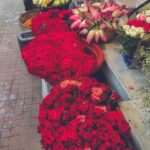 Abhirami Venkatachalam Instagram – 🌺 @linga.bhairavi 🔥 all red reminds me only of her 🙏🏼 #life #live #love #happy #vibes #red #devi #instagram #instapost #instagood #instamood #instalike #instalove #instadaily #lingabhairavi #offerings #peace #feminine #nature