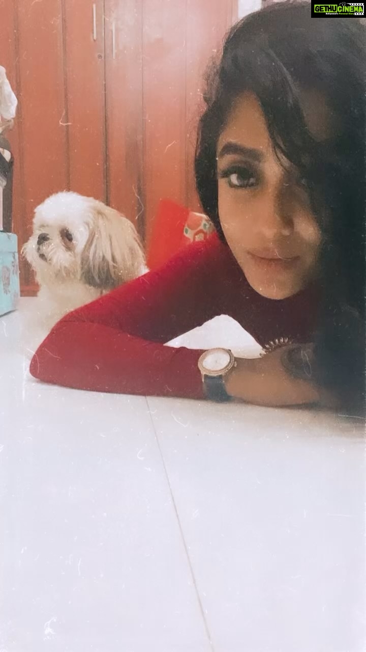 Abhirami Venkatachalam Instagram - Jolly oh gymkhana with @simba3680 π€ back home after an amazing event ... the love I always wait for ... my baby boy simba πΆπ€ #doglover #dogmom #simba #mine #goodnight #love #life #kisses #hugs #abhiramivenkatachalam #ammu #kannamma #instagram #instagood #instadaily #instalife #tamil #cinema