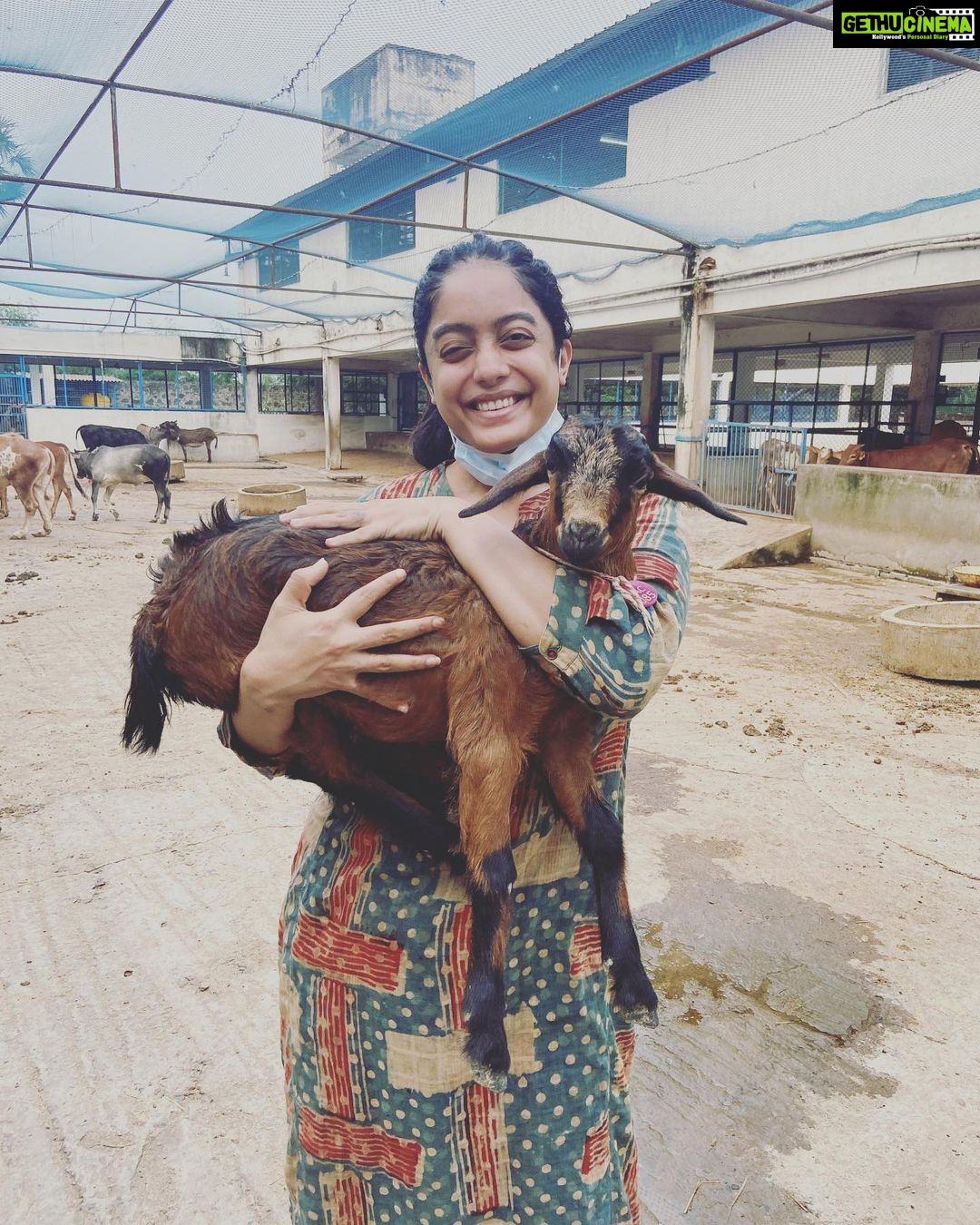 Abhirami Venkatachalam Instagram - My day with @blue_cross_rescues 🤍🤍🤍 unconditional love day ... thank you @preejo.tj for taking me here .... anddd pls do help us by adopting these unconditional love if you can ... so much of love is waiting for you all ♥️♥️♥️#doglove #animallovers #bluecross #bestday #love #life #smile #hugs #positive #vibe #abhiramivenkatachalam #ammu #chennai