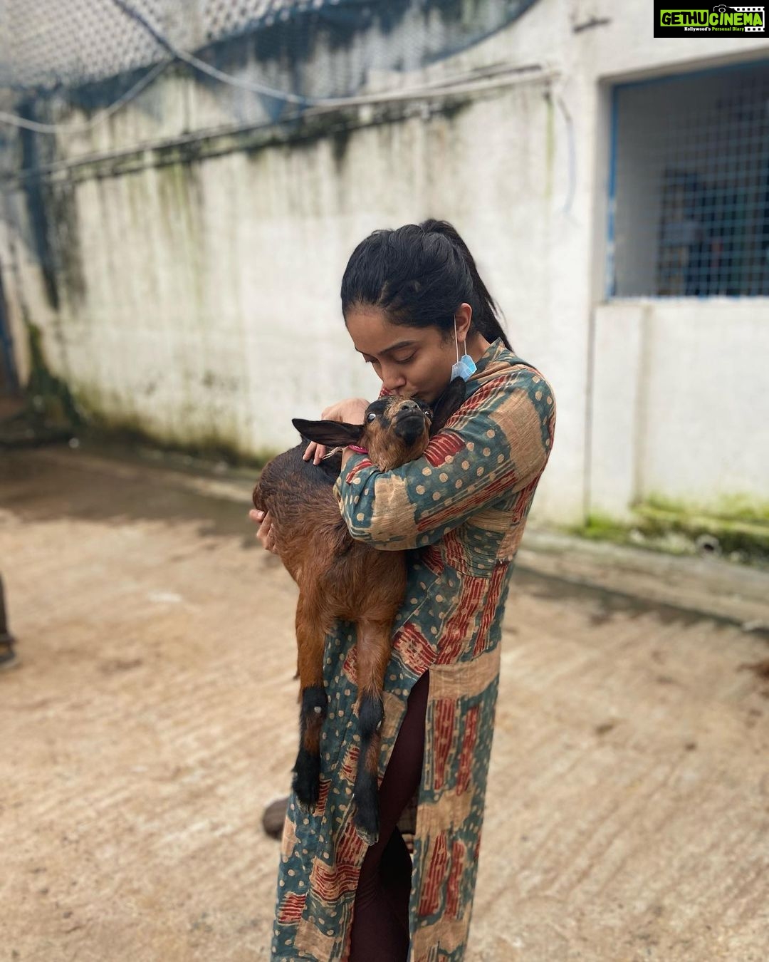 Abhirami Venkatachalam Instagram - My day with @blue_cross_rescues 🤍🤍🤍 unconditional love day ... thank you @preejo.tj for taking me here .... anddd pls do help us by adopting these unconditional love if you can ... so much of love is waiting for you all ♥️♥️♥️#doglove #animallovers #bluecross #bestday #love #life #smile #hugs #positive #vibe #abhiramivenkatachalam #ammu #chennai