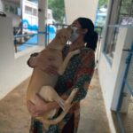 Abhirami Venkatachalam Instagram – My day with @blue_cross_rescues 🤍🤍🤍 unconditional love day … thank you @preejo.tj for taking me here …. anddd pls do help us by adopting these unconditional love if you can … so much of love is waiting for you all ♥️♥️♥️#doglove #animallovers #bluecross #bestday #love #life #smile #hugs #positive #vibe #abhiramivenkatachalam #ammu #chennai