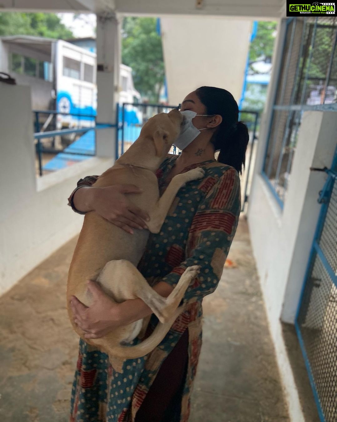 Abhirami Venkatachalam Instagram - My day with @blue_cross_rescues 🤍🤍🤍 unconditional love day ... thank you @preejo.tj for taking me here .... anddd pls do help us by adopting these unconditional love if you can ... so much of love is waiting for you all ♥️♥️♥️#doglove #animallovers #bluecross #bestday #love #life #smile #hugs #positive #vibe #abhiramivenkatachalam #ammu #chennai