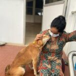 Abhirami Venkatachalam Instagram – My day with @blue_cross_rescues 🤍🤍🤍 unconditional love day … thank you @preejo.tj for taking me here …. anddd pls do help us by adopting these unconditional love if you can … so much of love is waiting for you all ♥️♥️♥️#doglove #animallovers #bluecross #bestday #love #life #smile #hugs #positive #vibe #abhiramivenkatachalam #ammu #chennai