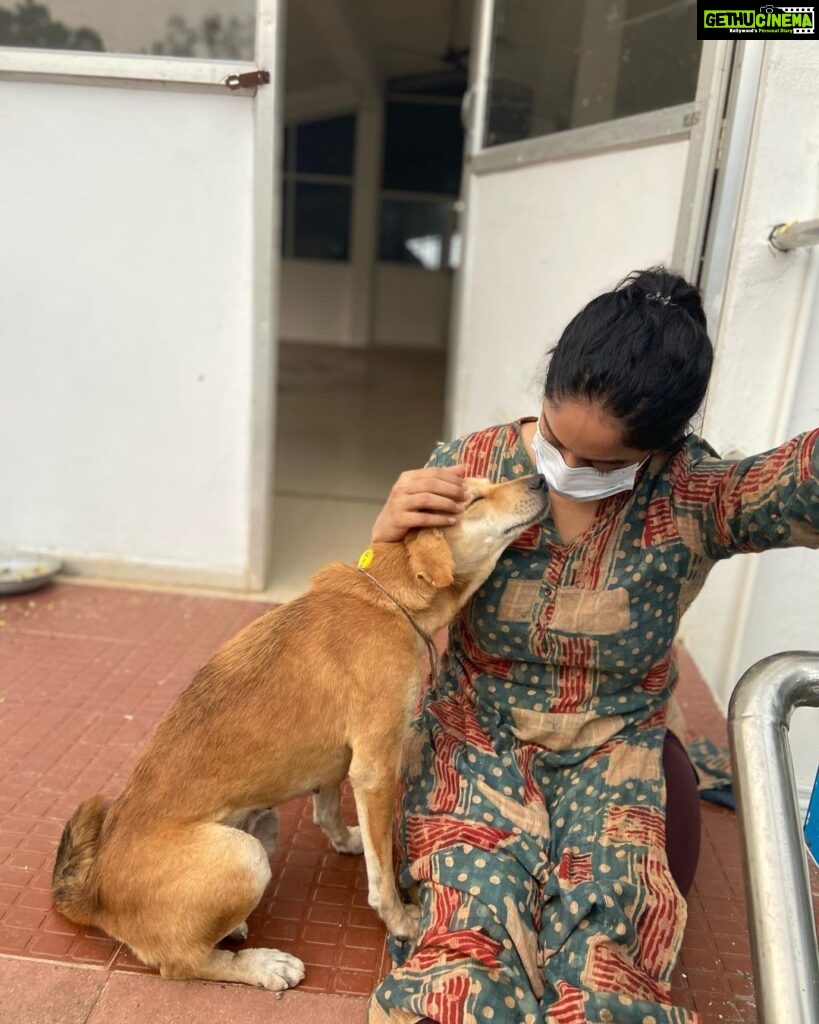 Abhirami Venkatachalam Instagram - My day with @blue_cross_rescues 🤍🤍🤍 unconditional love day ... thank you @preejo.tj for taking me here .... anddd pls do help us by adopting these unconditional love if you can ... so much of love is waiting for you all ♥️♥️♥️#doglove #animallovers #bluecross #bestday #love #life #smile #hugs #positive #vibe #abhiramivenkatachalam #ammu #chennai