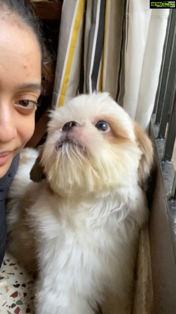 Abhirami Venkatachalam Instagram - Why so grumpy baby 💋💋💋🐶 my one and only unconditional love ♥️ my life my simba @simba3680 #simba #doglove #puppy #morning #unconditionallove #abhirami #abhiramivenkatachalam