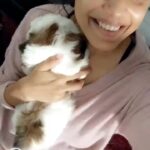 Abhirami Venkatachalam Instagram - Happy birthday my baby ♥️🐶 thanks for showing me what it is to love this nature , thanks for proving there is unconditional love in this world , and thanks for making me feel what it is to be a mother 🙏🏼🙏🏼🙏🏼 #happybirthday #simba #mychild #mybaby