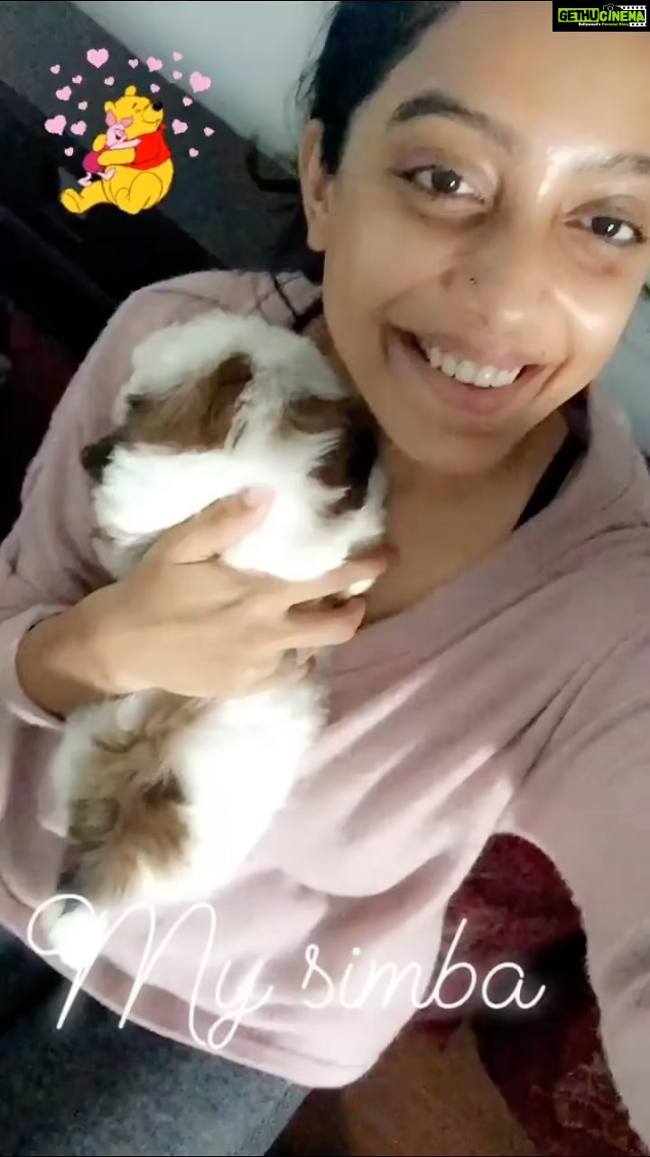 Abhirami Venkatachalam Instagram - Happy birthday my baby β₯οΈπΆ thanks for showing me what it is to love this nature , thanks for proving there is unconditional love in this world , and thanks for making me feel what it is to be a mother ππΌππΌππΌ #happybirthday #simba #mychild #mybaby