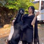 Adah Sharma Instagram – Because #KaliKaliZulfonKe is trending on reels and #Commando is trending on DisneyPlusHotstar here is a cross over of some beautiful beauties with kali Kali Zulfein who came and ate my lunch up during the action scene. You know which scene we were shooting for😅🦵👊 the na bajegi one 🎸🥁🎻 #100YearsOfAdahSharma #adahsharma