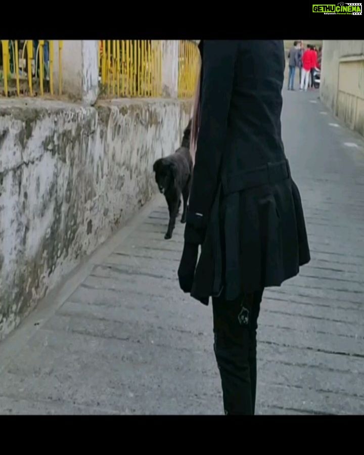 Adah Sharma Instagram - What makes you smile π?KOFUKU β€οΈ Me smiling about all the silly things I've done deciding to never do them again and then 5 minutes later being Ghajini (but with pink hair and no tattoos) π¦π¦π¦π¦πββοΈπ» #100YearsOfAdahSharma ππ¦Έ P.S. alllll the messages I've been getting on KOFUKU πππglad u all enjoyed it ! Those who haven't seen it yet it's streaming on Jio Cinema