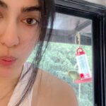 Adah Sharma Instagram - Meet my alarm ghar pe… weekend ho ya weekday 🦜😅🧚‍♀️👻❤️