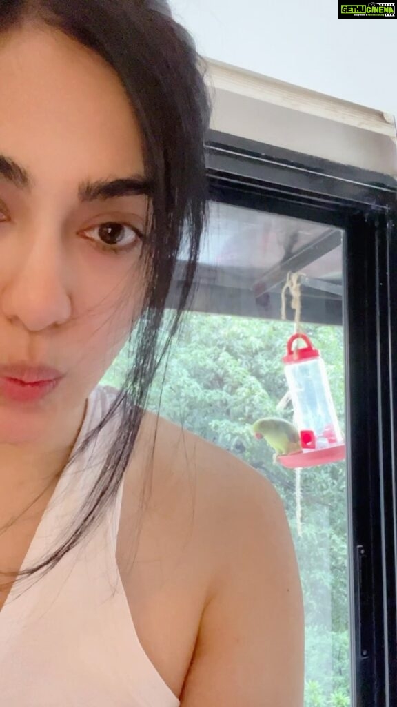 Adah Sharma Instagram - Meet my alarm ghar pe… weekend ho ya weekday 🦜😅🧚‍♀️👻❤️