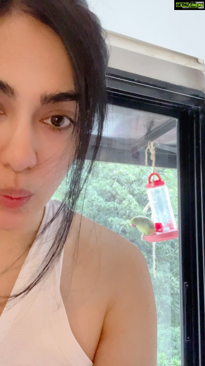 Adah Sharma Instagram - Meet my alarm ghar pe… weekend ho ya weekday 🦜😅🧚♀️👻❤️