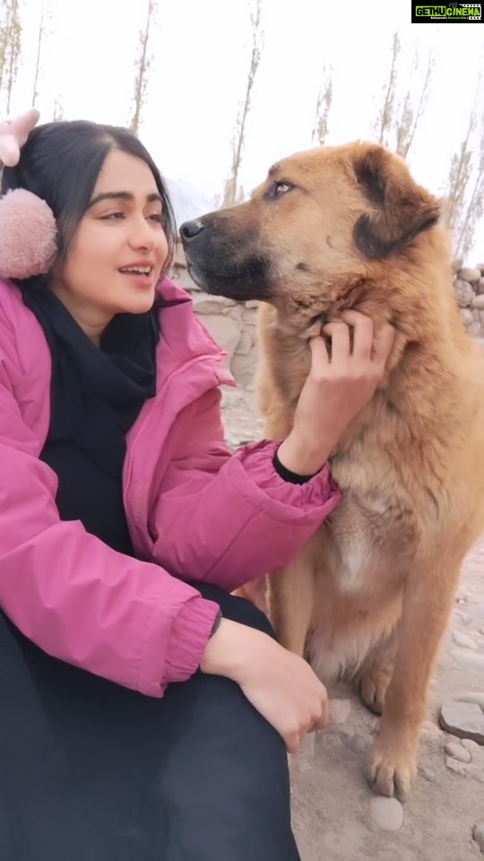 Adah Sharma Instagram - Behind the scenes with the therapist on set #TheKeralaStory With humans this doesn't work 👀 if you don't give bhao then I'm not giving bhao 🤣🥲 . P.S.Swollen eyes because of lotssss of on screen crying and jakada hua nose also 😭😭 Leh, Ladakh