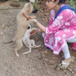 Adah Sharma Instagram – Puppies and more puppies 🐶😍 Adah Sharma Massage services for 4 legged mammals and reptiles ❤️ special discounts for crows and cows #100YearsOfAdahSharma #adahsharma #puppiesofinstagram