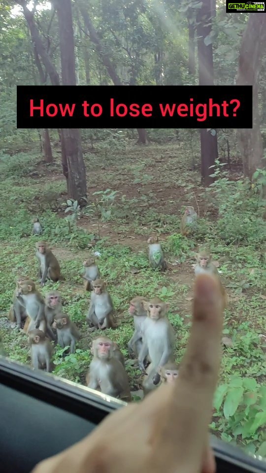 Adah Sharma Instagram - How to lose weight easily ? Let someone else eat your breakfast . Disclaimer : aap ek mahine mein 20 kgs ghataa sakte ho (provided aapka sense of humour 100 kgs ka ho)