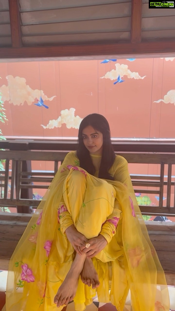Adah Sharma Instagram - What came first - Meri Anarkali or the wall ? π¦π«don't be a phool πΈ and Lotus guess ππππππ§π§π§ #icantfindALotusEmojiyaar #100YearsOfAdahSharma #adahsharma