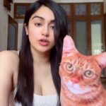Adah Sharma Instagram - Dammit I'm Mad backwards.... दामाद , लाल , सरस are some palindrome words (मतलब उल्टा भी, सीधा भी,दोनो पढ़ो शब्द same hai) Leave more in the comments #radhaissotalented #RadhaIsSoHumble #RadhaSeKoiKaiseNaJale #RavivaarWithRadha #100YearsOfAdahSharma #adahsharma