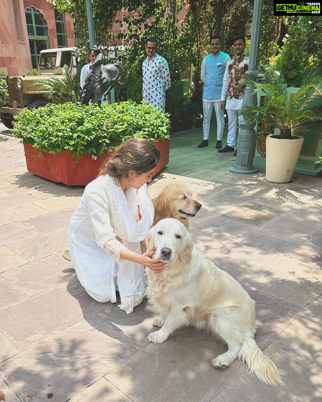 Aditi Bhatia Instagram - Felt like a princess everyday at @narendra.bhawan.bikaner 🤍 thank you for the most amazing hospitality. Narendra Bhawan Bikaner