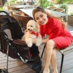 Aditi Bhatia Instagram - i talk about my life in ‘pre-murphy’ and ‘post-murphy’ timelines because that’s the effect this angel has had on me 💌🐾
