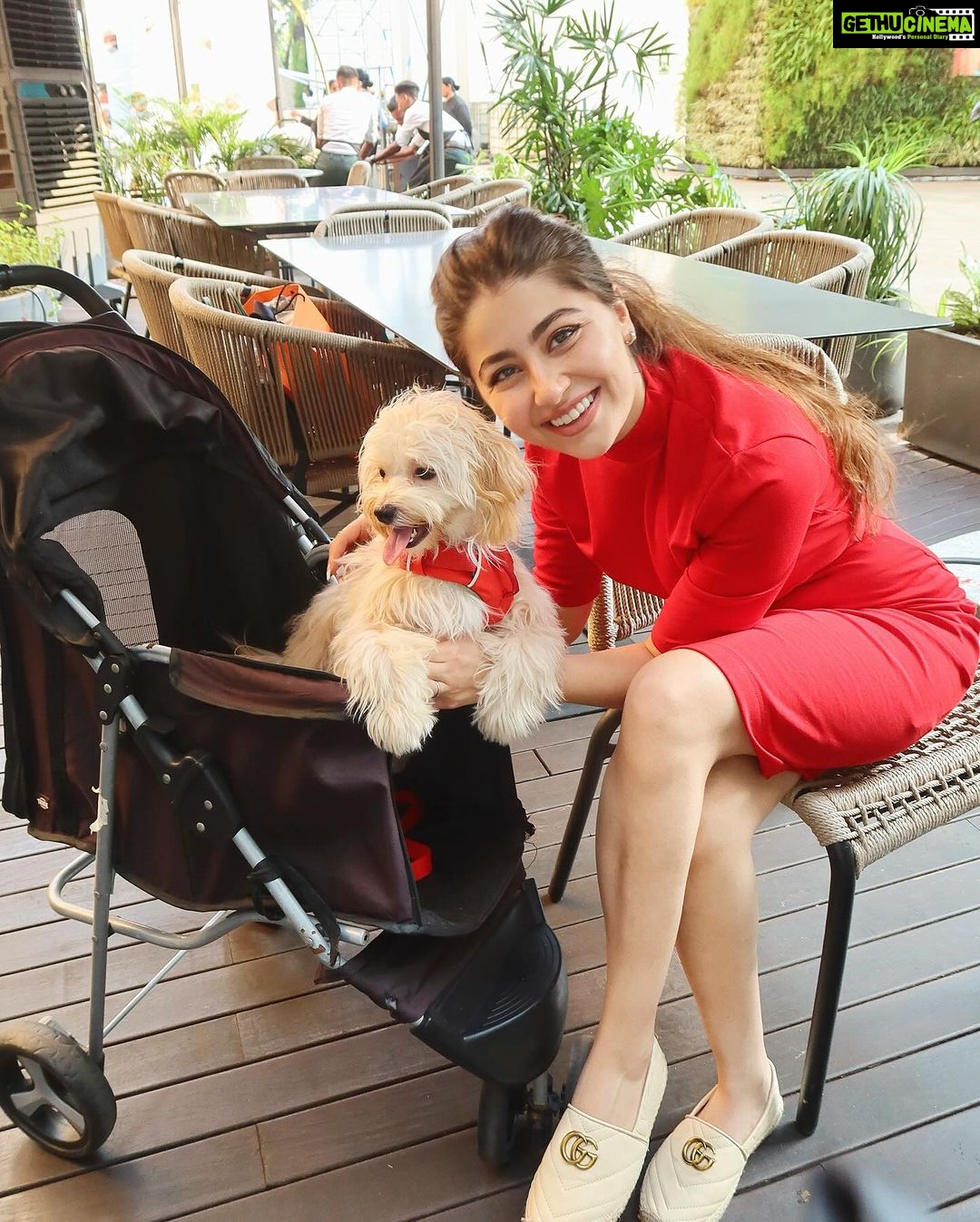 Aditi Bhatia Instagram - i talk about my life in ‘pre-murphy’ and ‘post-murphy’ timelines because that’s the effect this angel has had on me 💌🐾