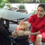 Aditi Bhatia Instagram - i talk about my life in ‘pre-murphy’ and ‘post-murphy’ timelines because that’s the effect this angel has had on me 💌🐾