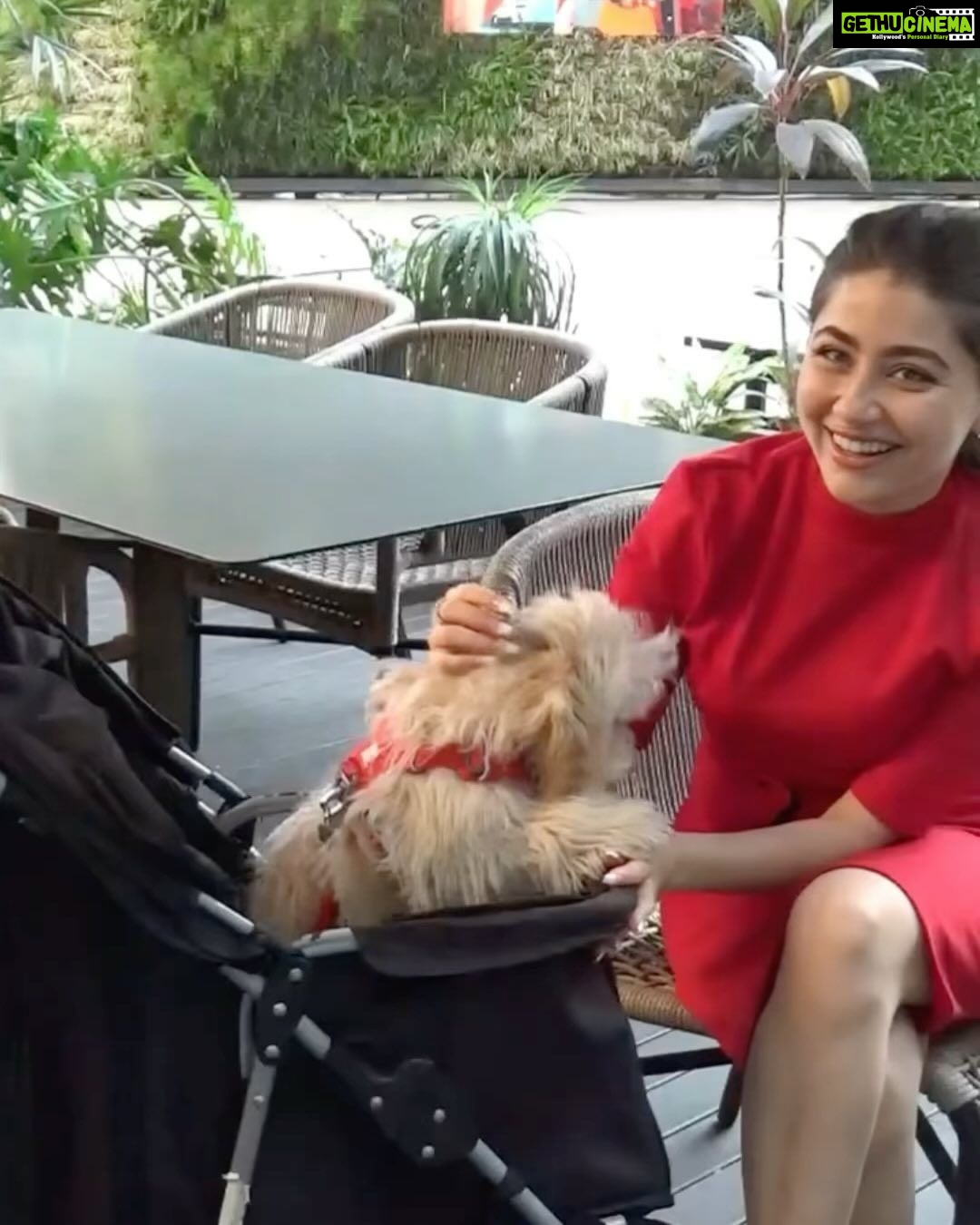 Aditi Bhatia Instagram - i talk about my life in ‘pre-murphy’ and ‘post-murphy’ timelines because that’s the effect this angel has had on me 💌🐾