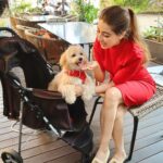 Aditi Bhatia Instagram - i talk about my life in ‘pre-murphy’ and ‘post-murphy’ timelines because that’s the effect this angel has had on me 💌🐾
