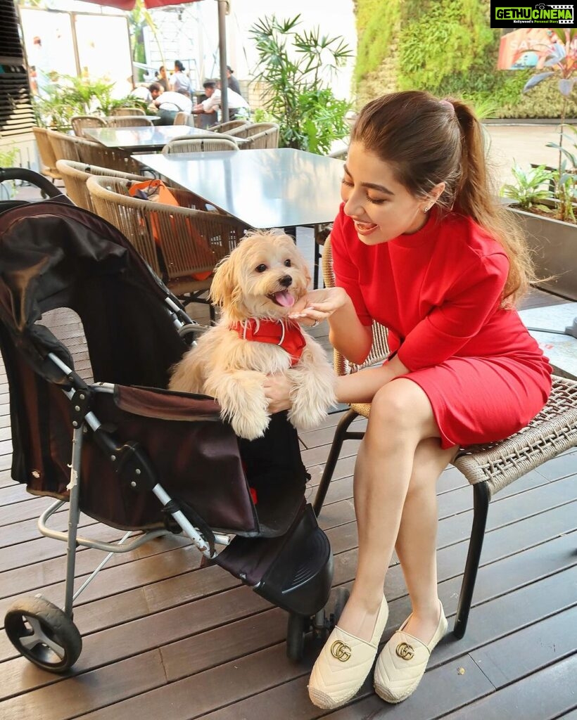 Aditi Bhatia Instagram - i talk about my life in ‘pre-murphy’ and ‘post-murphy’ timelines because that’s the effect this angel has had on me 💌🐾