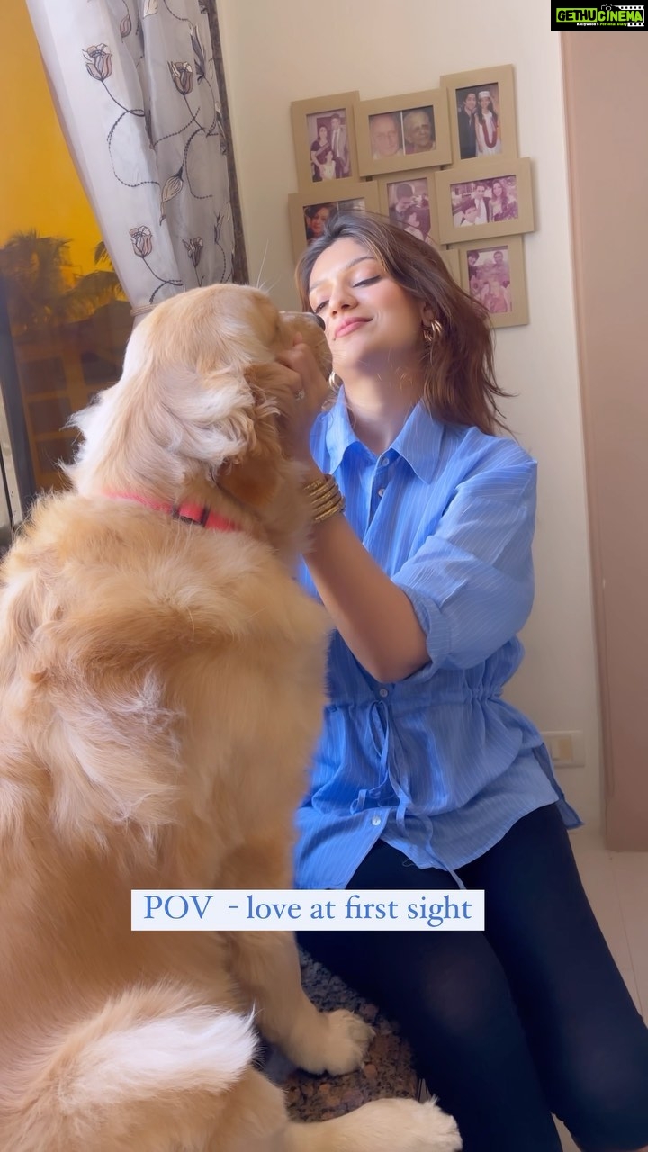 Aditi Gautam Instagram - My bliss! . . . . . . . #dogsofinstagram #goldenretriever #reelitfeelit #love