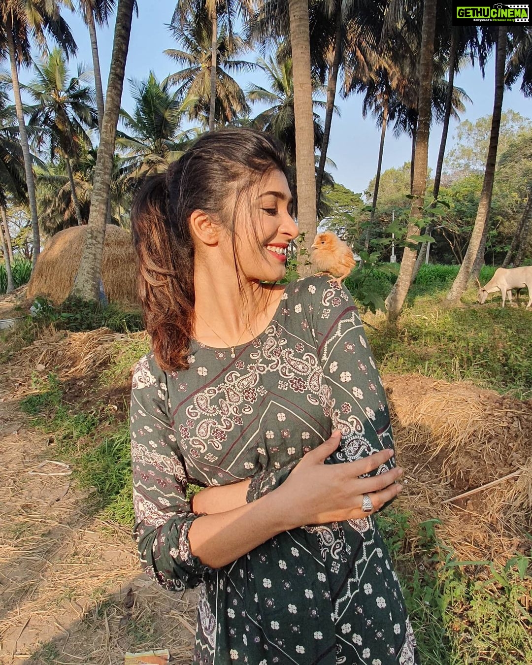 Aditi Prabhudeva Instagram - 🐥 #ಮುದ್ದಾದ #ಕೋಳಿಪಿಳ್ಳೆ ❤ Mysore, Karnataka