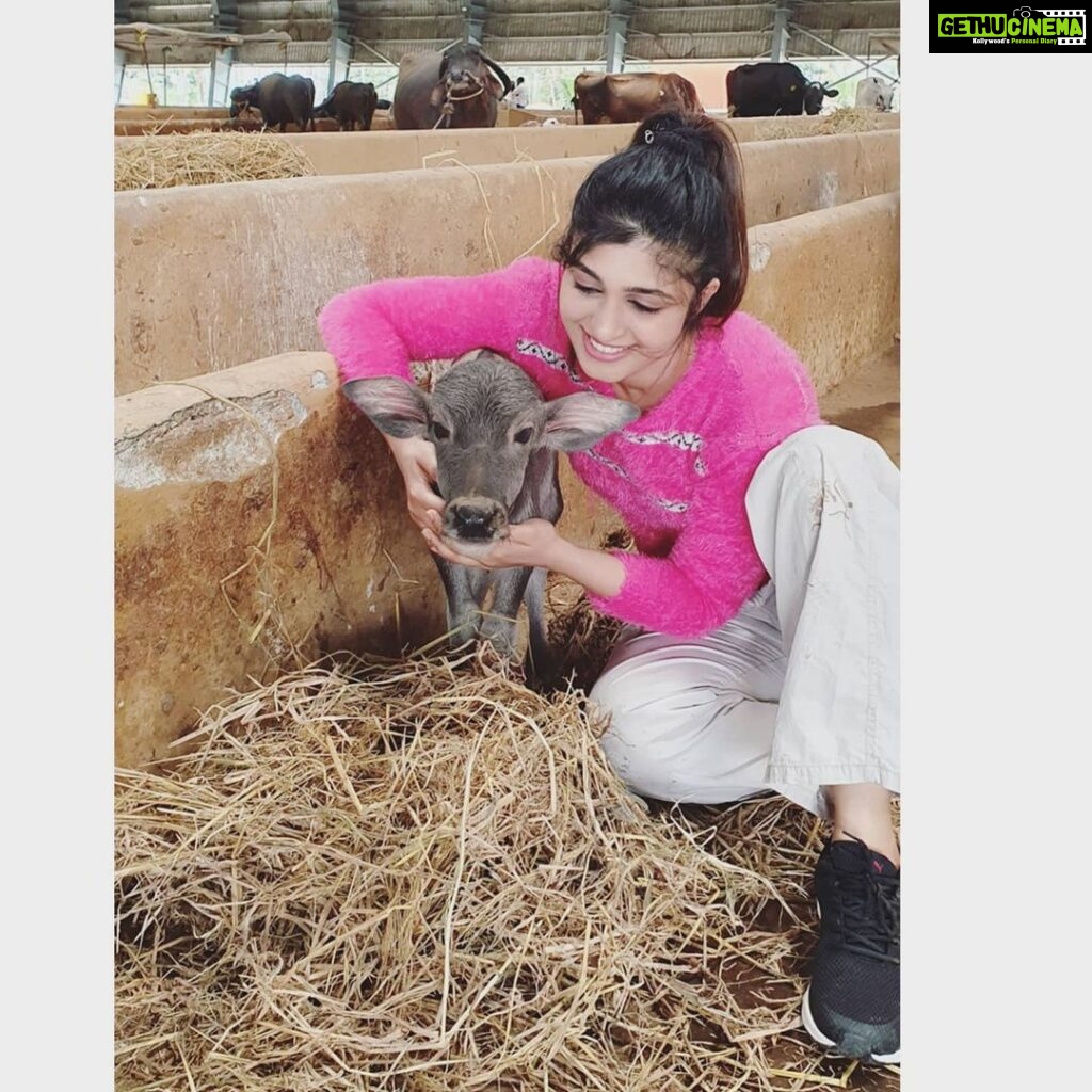 Aditi Prabhudeva Instagram - LIFELINE ❤ . . #animals #loveforanimals #goal #life #finallanding
