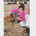 Aditi Prabhudeva Instagram - LIFELINE ❤ . . #animals #loveforanimals #goal #life #finallanding