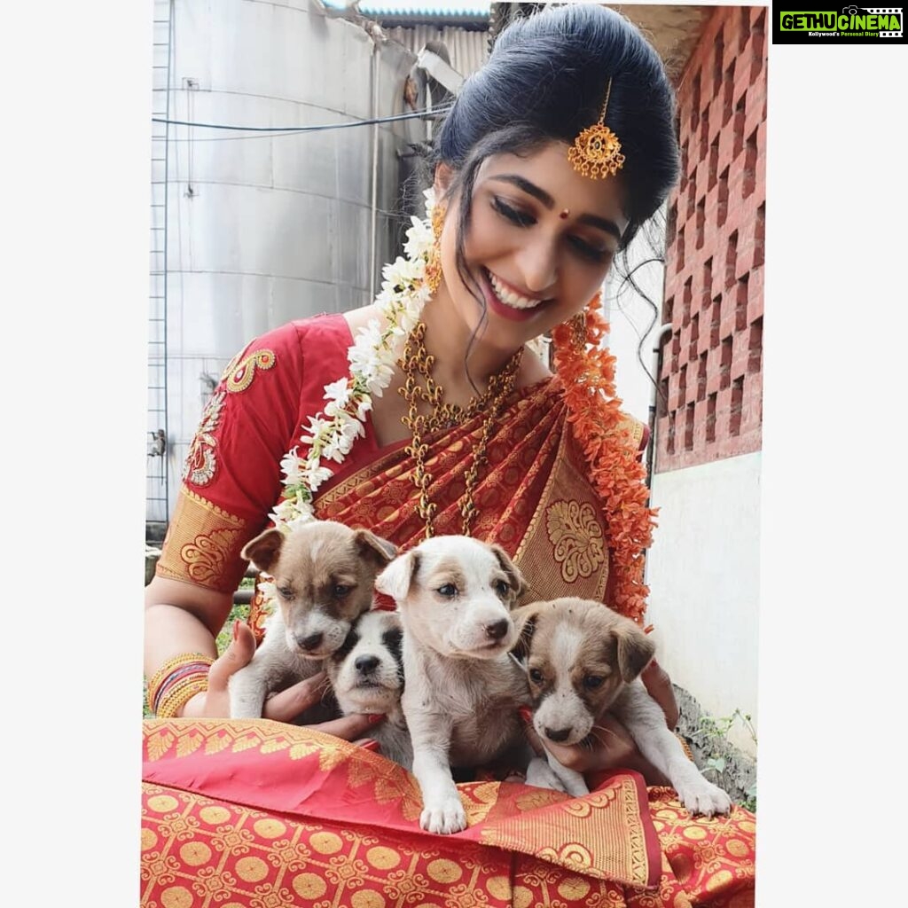 Aditi Prabhudeva Instagram - Only happiness ❤ . . . . . #love 🐶 #goodvibes #beautifulsoul #heaven #shoottime #dilmaar Pandavapura Sugar Factory