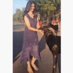 Aditi Prabhudeva Instagram - 🌻