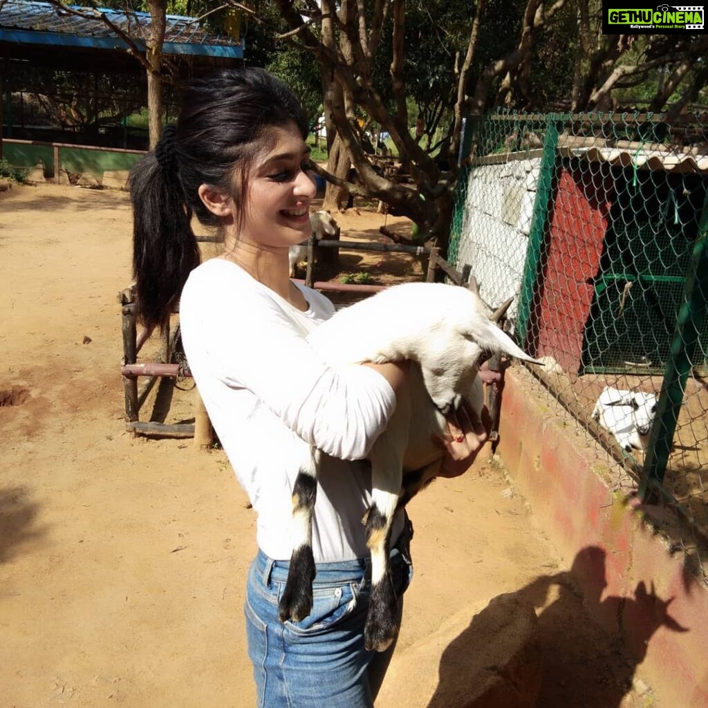 Aditi Prabhudeva Instagram - 🌼 Happiness 🌼 @prani_the_pet_sanctuary