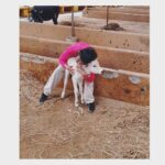 Aditi Prabhudeva Instagram - LIFELINE ❤ . . #animals #loveforanimals #goal #life #finallanding