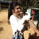Aditi Prabhudeva Instagram – 🌼 Happiness 🌼
@prani_the_pet_sanctuary