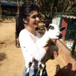 Aditi Prabhudeva Instagram - 🌼 Happiness 🌼 @prani_the_pet_sanctuary