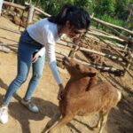 Aditi Prabhudeva Instagram - 🌼 Happiness 🌼 @prani_the_pet_sanctuary