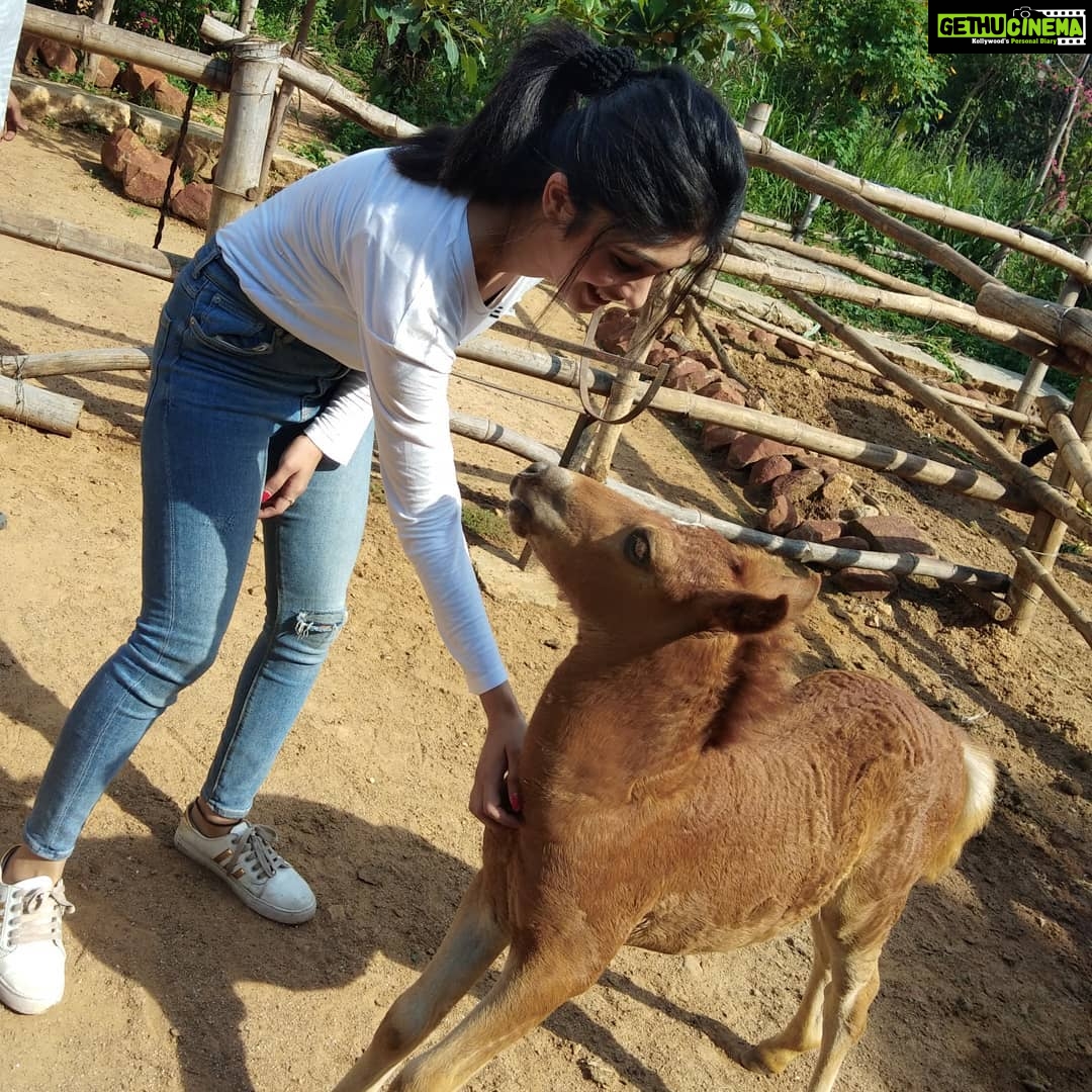 Aditi Prabhudeva Instagram - 🌼 Happiness 🌼 @prani_the_pet_sanctuary