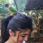 Aditi Prabhudeva Instagram - 🌼 Happiness 🌼 @prani_the_pet_sanctuary
